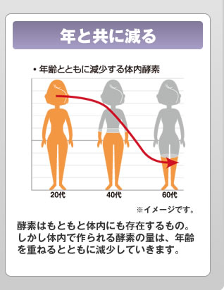 年と共に減る：酵素はもともと体内にも存在するもの。しかし体内で作られる酵素の量は、年齢を重ねるとともに減少していきます。