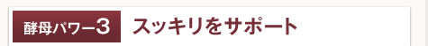 【酵母パワー3】スッキリをサポート