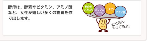 酵母は、酵素やビタミン、アミノ酸など、女性が嬉しい多くの物質を作り出します。