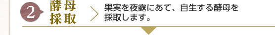 [2] 酵母採取 : 果実を夜露にあて、自生する酵母を採取します。