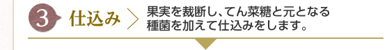 [3] 仕込み : 果実を裁断し、てん菜糖と元となる種菌を加えて仕込みをします。