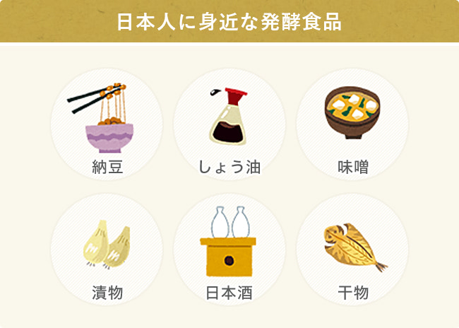 日本人に身近な発酵食品