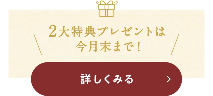 2大特典プレゼントは今月末まで！詳しくみる