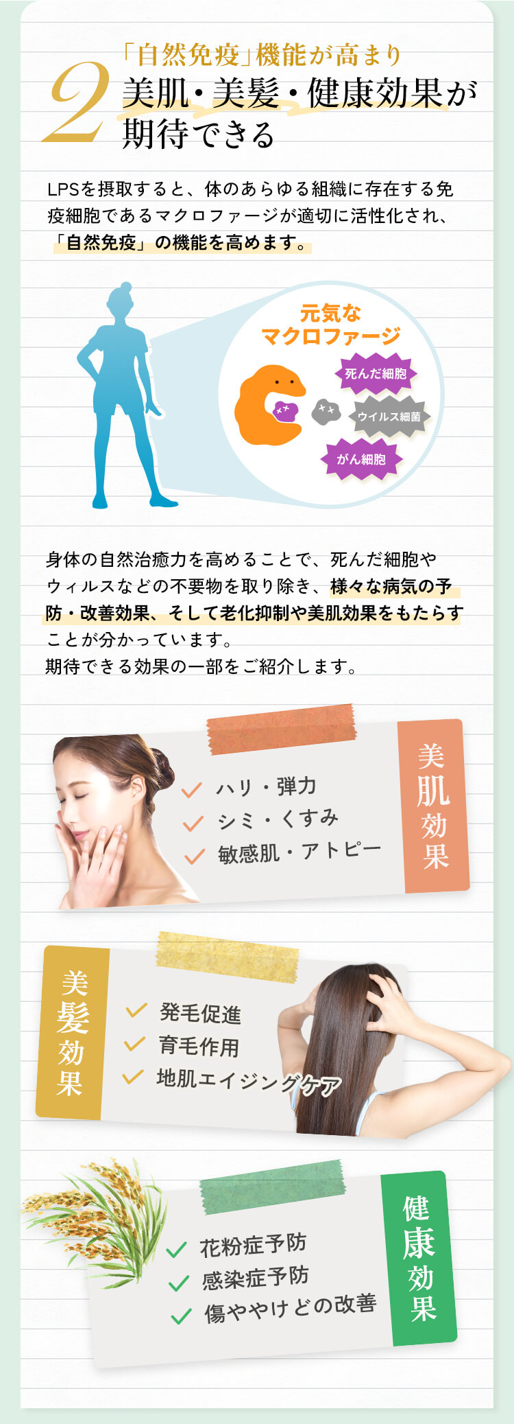 美肌・美髪・健康効果が期待できる