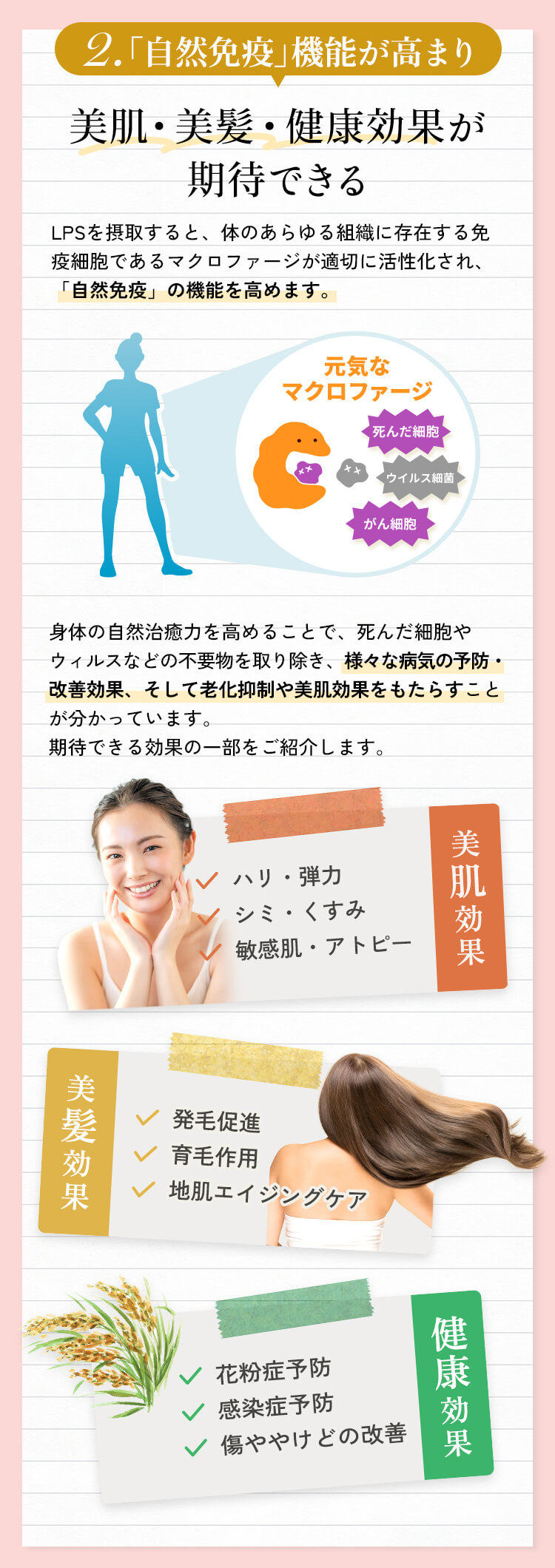 美肌・美髪・健康効果が期待できる