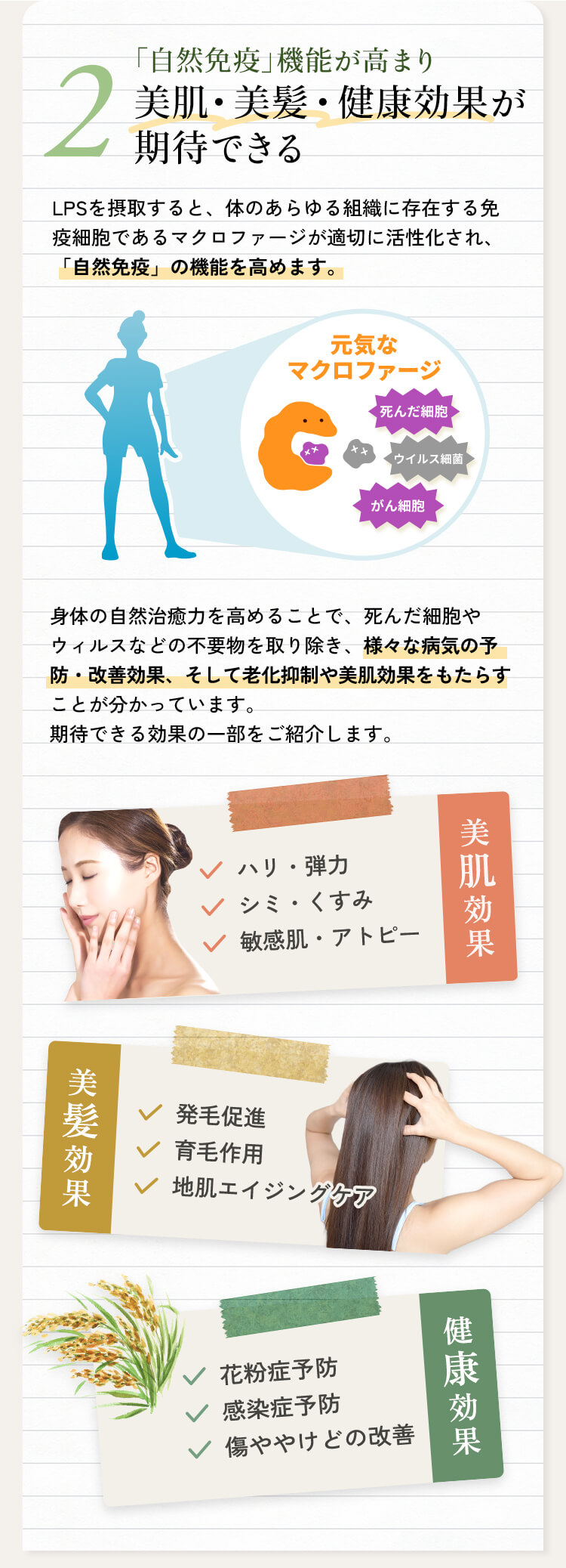 美肌・美髪・健康効果が期待できる