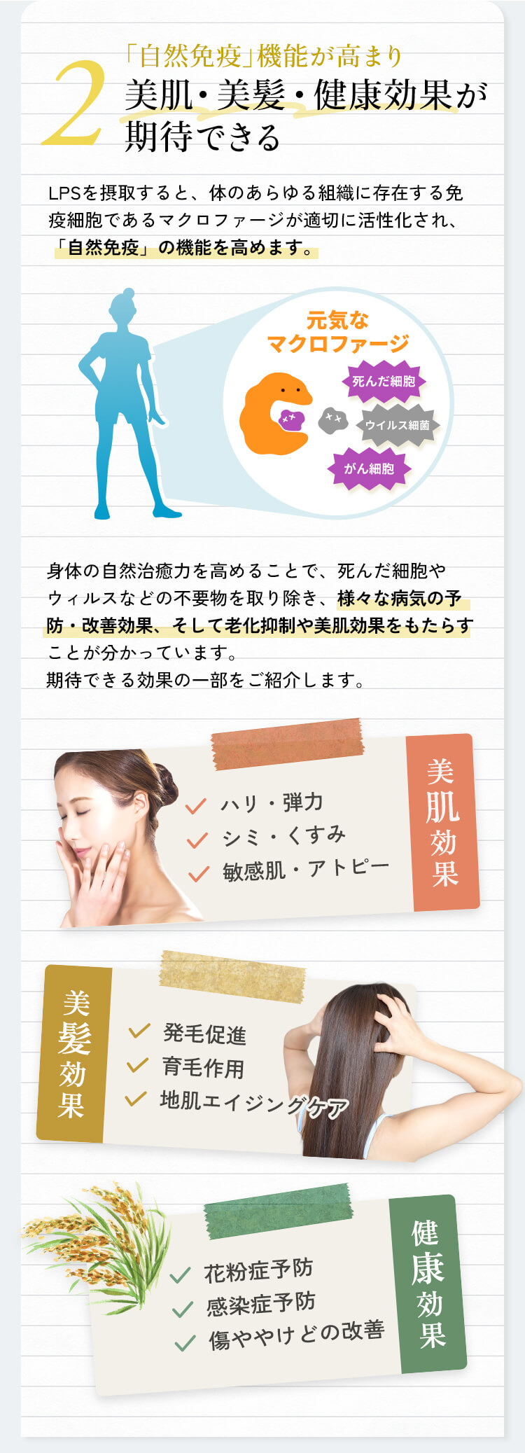 美肌・美髪・健康効果が期待できる