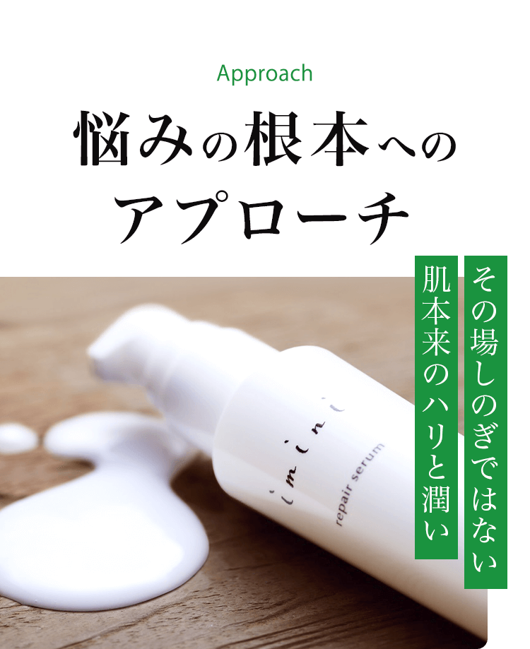 お手入れについて