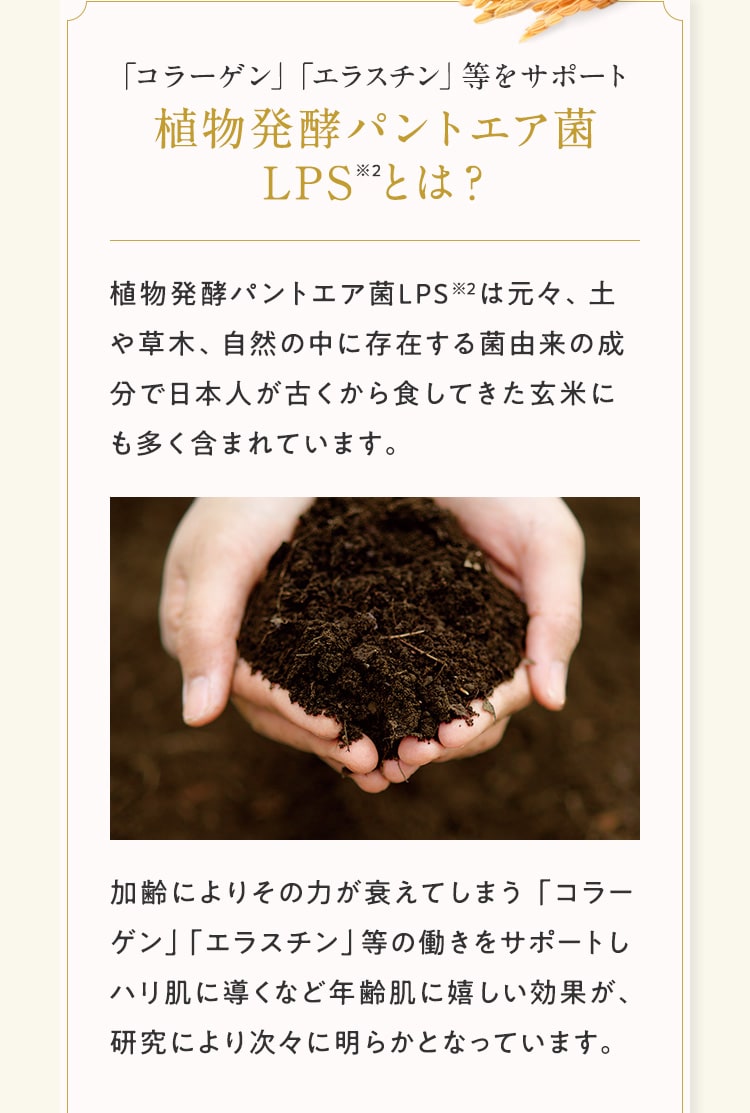 「コラーゲン」「エラスチン」等をサポート植物発酵パントエア菌 LPS とは？