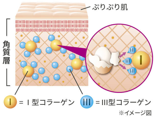 説明イメージ