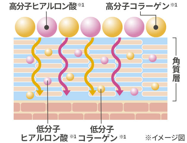 説明イメージ