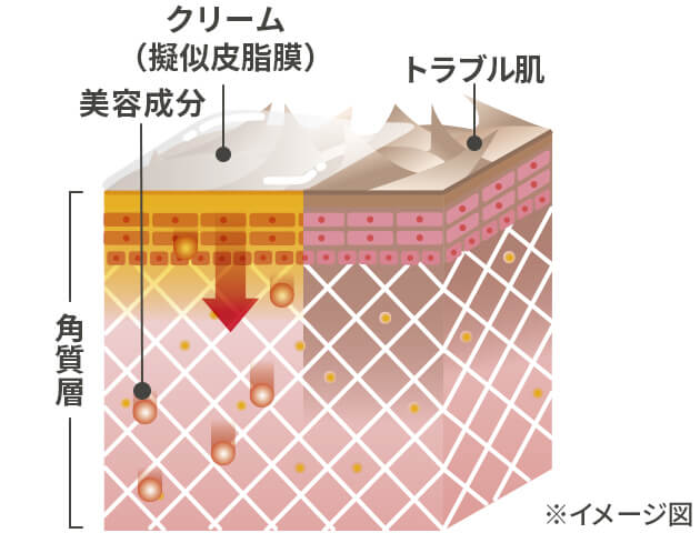 説明イメージ