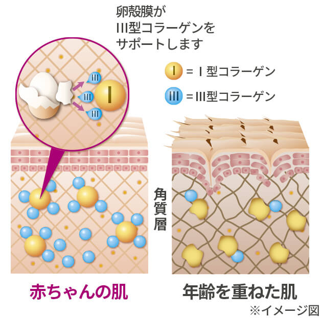 説明イメージ