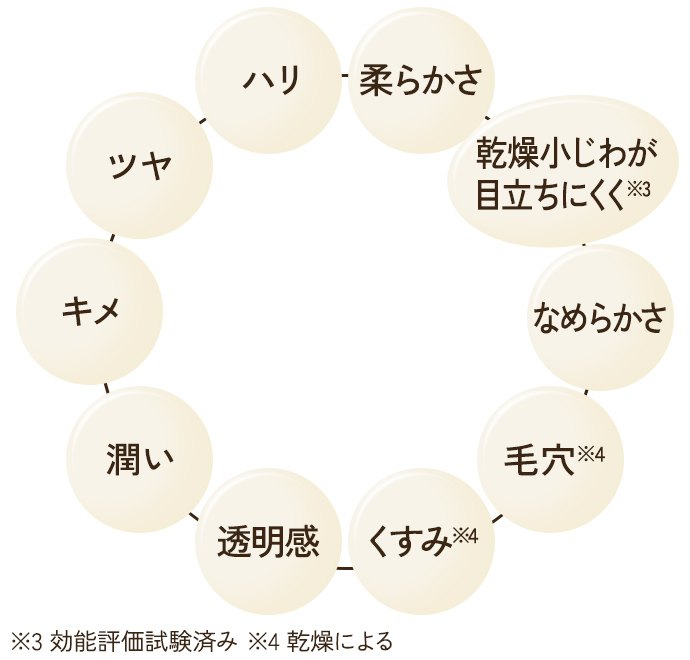 説明イメージ