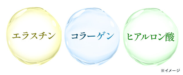 説明イメージ