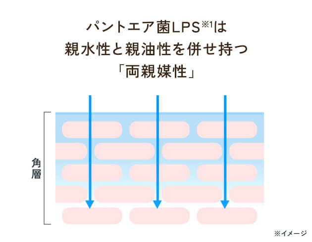 説明イメージ