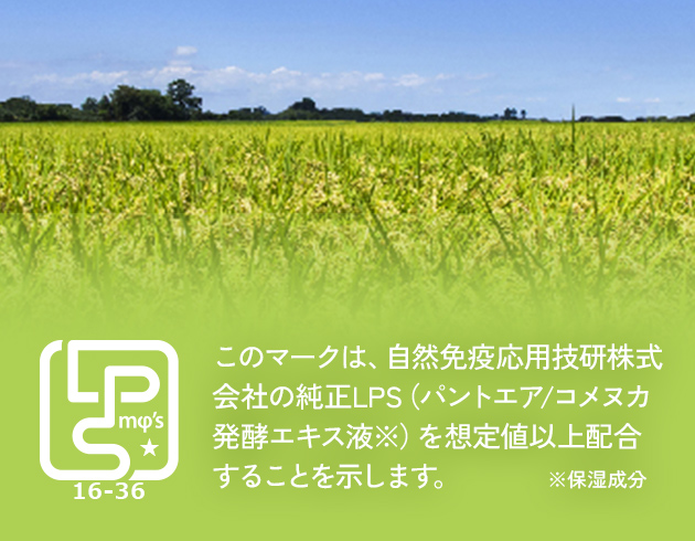 説明イメージ