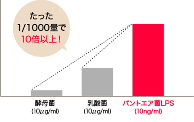 説明イメージ