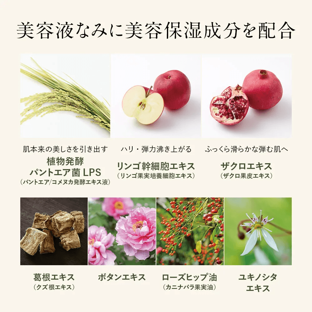説明イメージ
