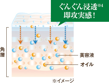 説明イメージ