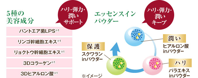 説明イメージ