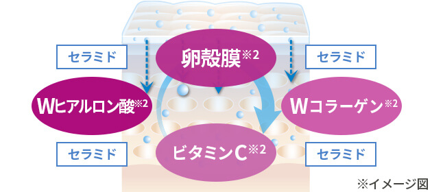 説明イメージ