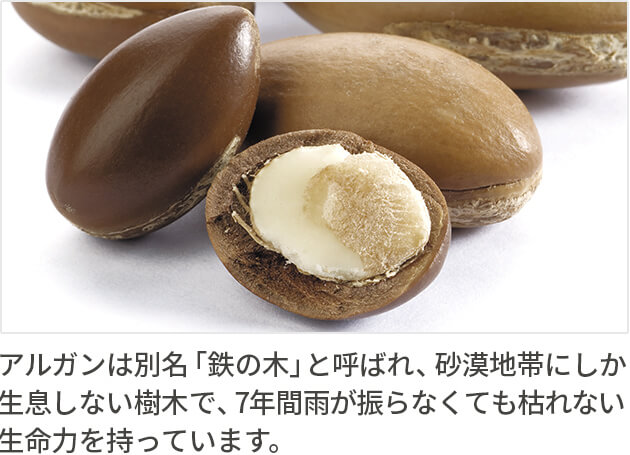 説明イメージ