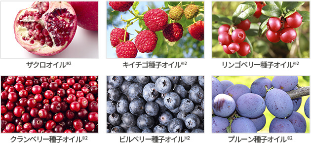 説明イメージ