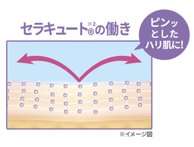 説明イメージ