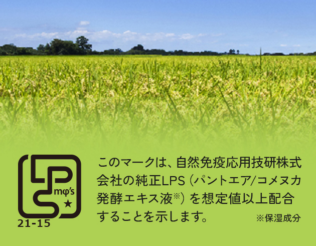 説明イメージ