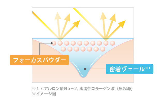 説明イメージ