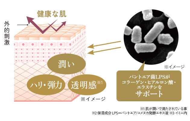 説明イメージ