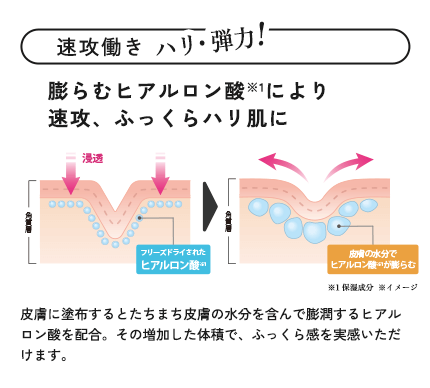 説明イメージ