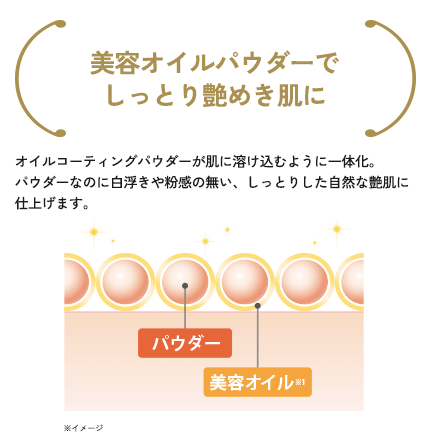 説明イメージ