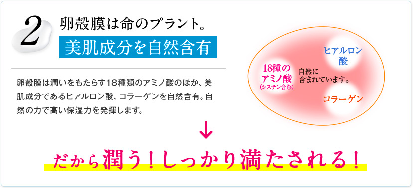 2 卵殻膜は命のプラント。美肌成分を自然含有