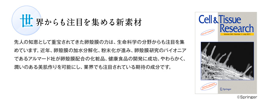 世界からも注目を集める新素材