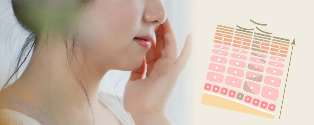 そもそも肌のターンオーバーとは？